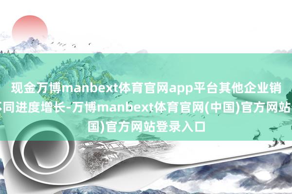现金万博manbext体育官网app平台其他企业销量均呈不同进度增长-万博manbext体育官网(中国)官方网站登录入口