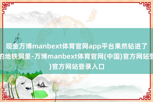 现金万博manbext体育官网app平台果然钻进了施工中的地