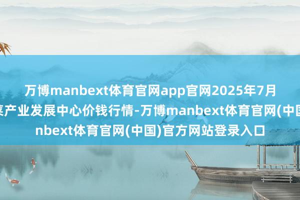 万博manbext体育官网app官网2025年7月16日甘肃