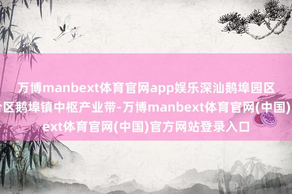 万博manbext体育官网app娱乐深汕鹅埠园区位于深汕十分配合区鹅埠镇中枢产业带-万博manbext体育官网(中国)官方网站登录入口
