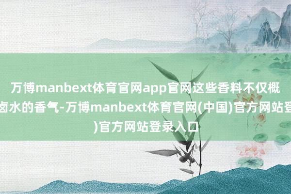 万博manbext体育官网app官网这些香料不仅概况增多卤水的香气-万博manbext体育官网(中国)官方网站登录入口